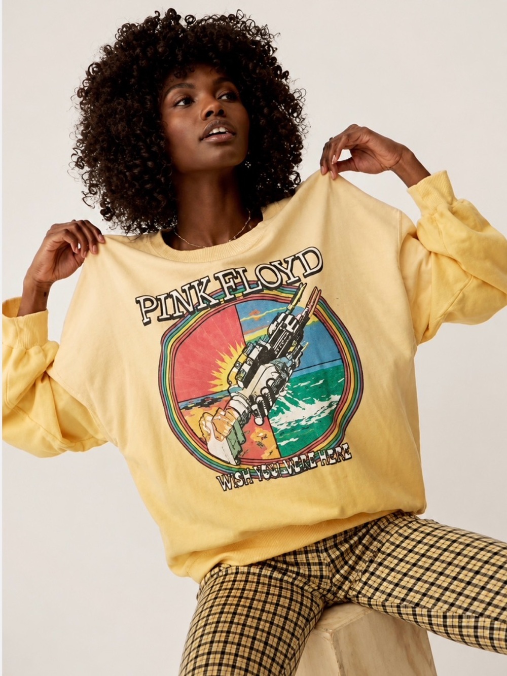REVOLVE x DAYDREAMER Pink Floyd Sweatshirt Wish You Were Here Ombré